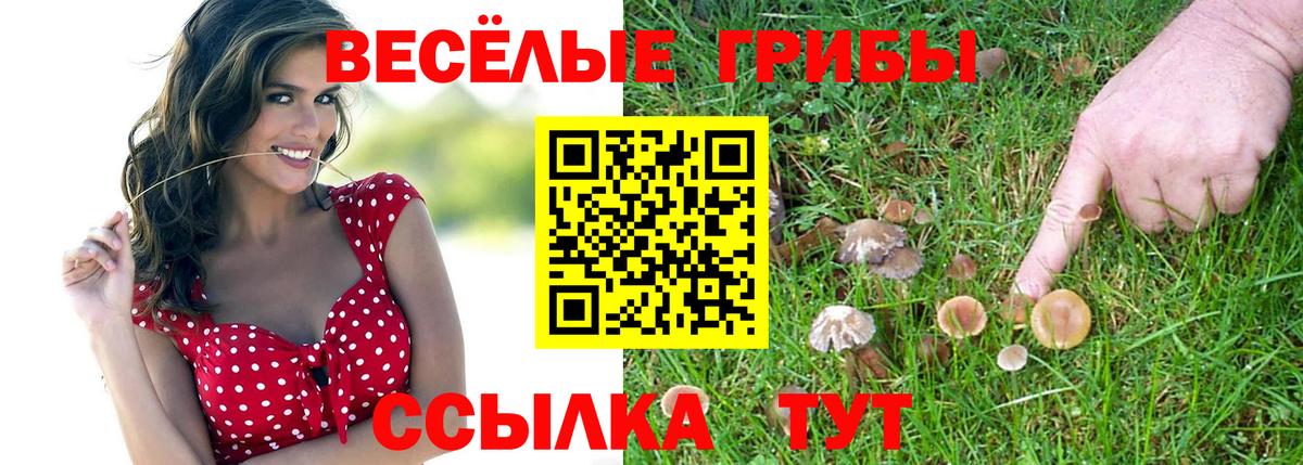 Галлюциногенные грибы Cubensis  Вход с VPN  Чайковский 