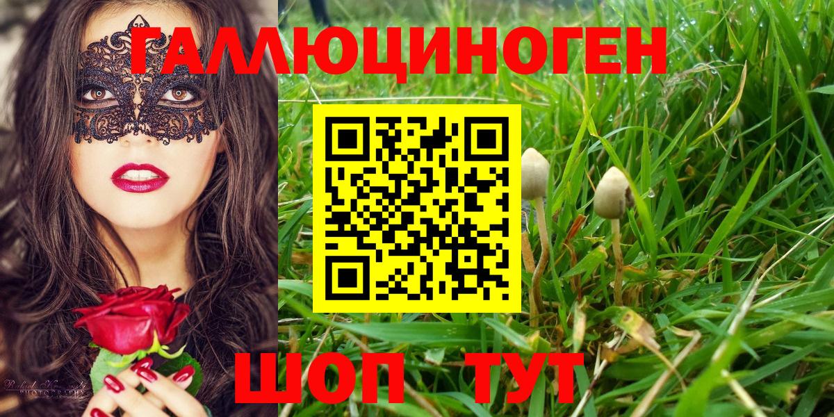 Псилоцибиновые грибы Cubensis Чайковский